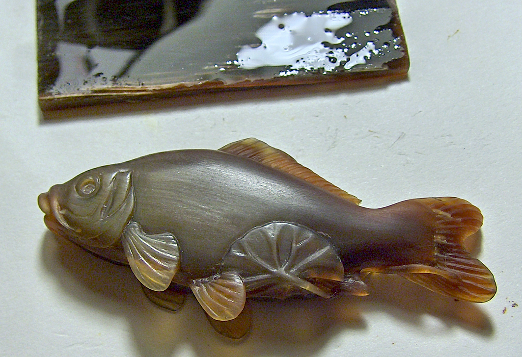 Carp among lotus leaves08